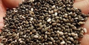 ¿Por qué debería de tomar Chía?